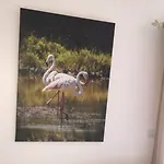 Mas Saint-ange Bed & Breakfast Lunel (Herault)