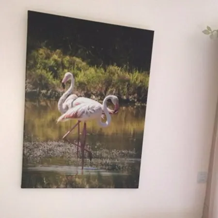 Mas Saint-ange ベッド・アンド・ブレックファスト リュネル